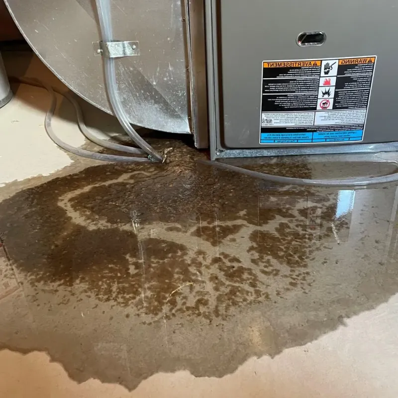 Pipe Burst and Leak Restoration in Columbia, SC